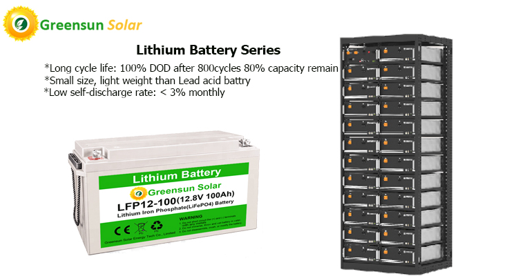 Batteria agli ioni di litio 12v 24v 48v