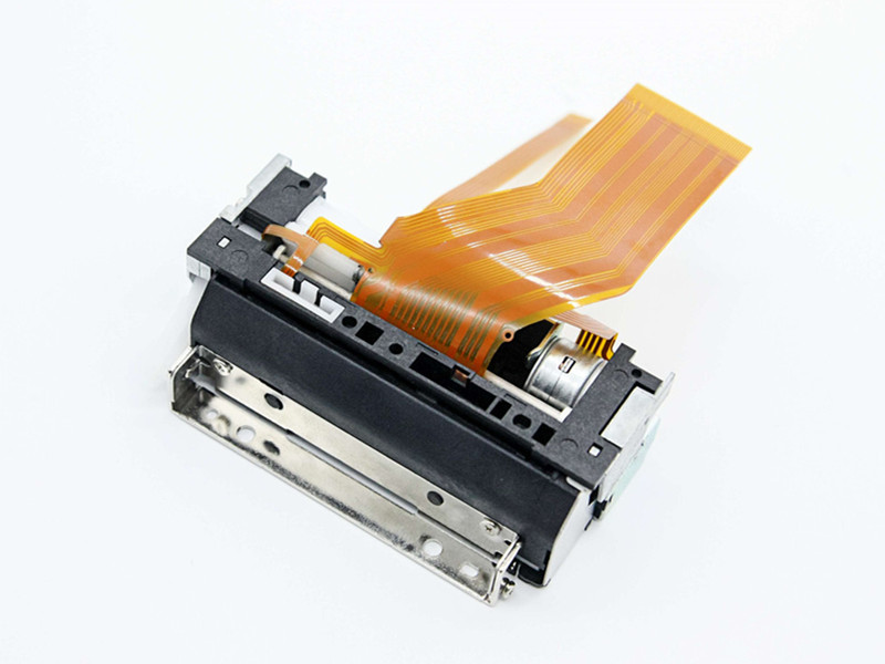 245 meccanismo della stampante