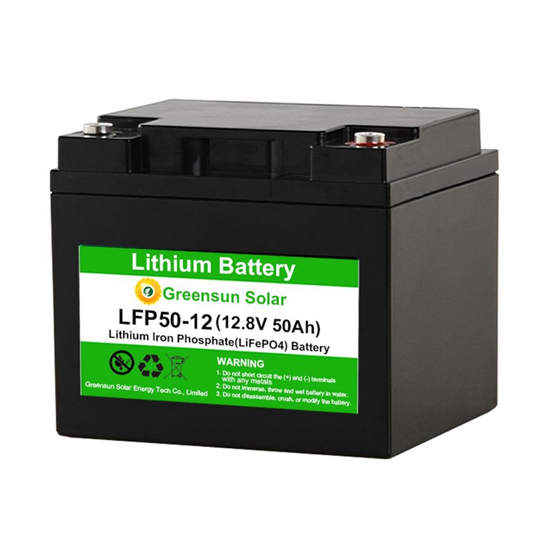 Batteria Lifepo4 12v 24v 48v batteria al litio ferro
