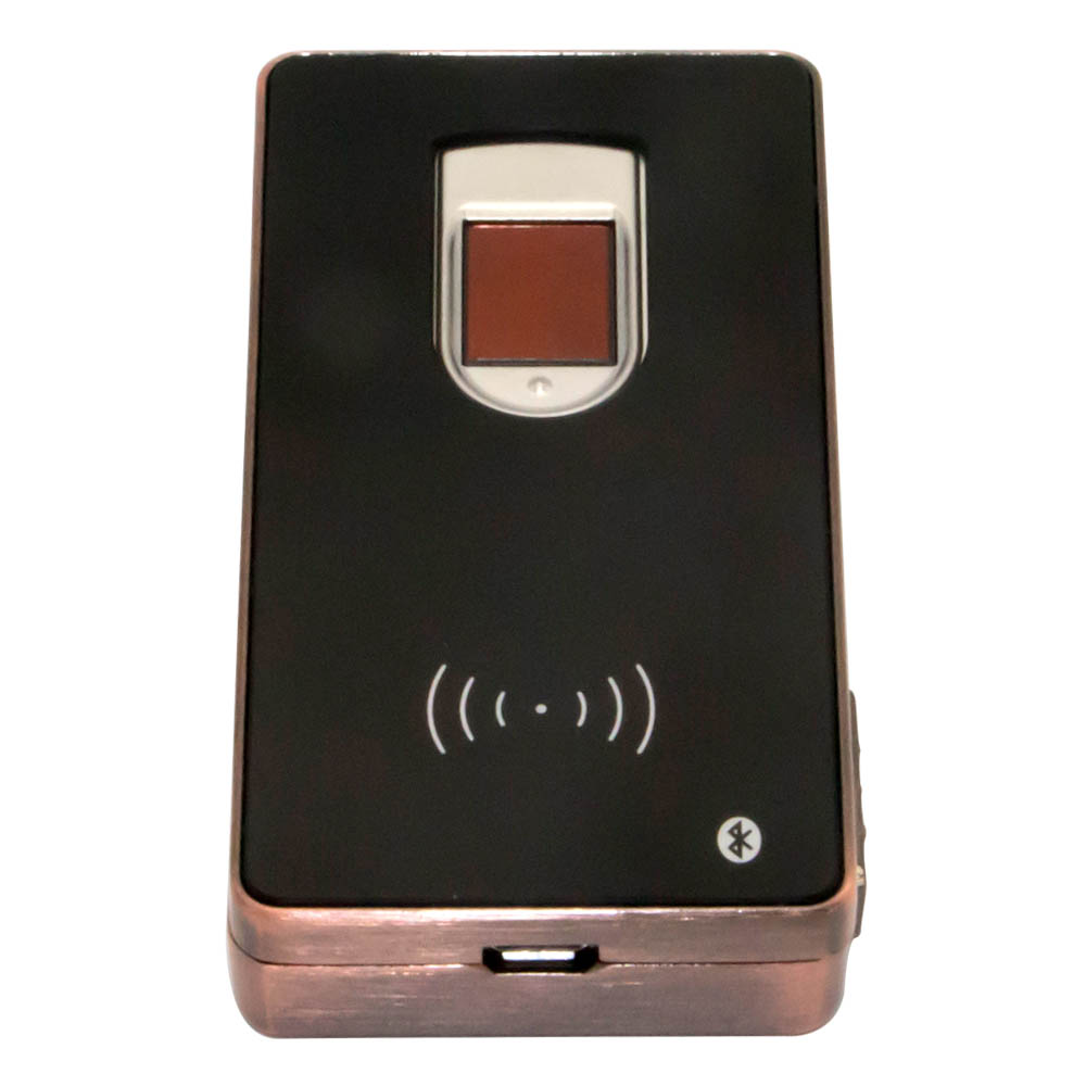 Lettore Rfid di autenticazione biometrica dell'impronta digitale Bluetooth portatile senza fili portatile
