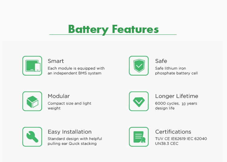 Batteria ai polimeri di ioni di litio 48V 100AH