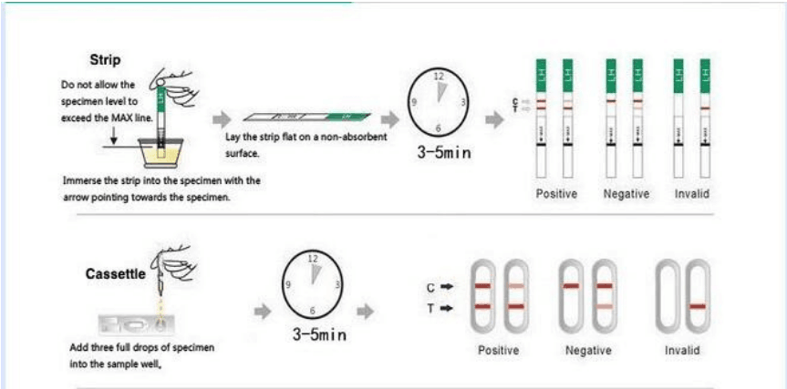 Test di gravidanza urinario Hcg Test rapido