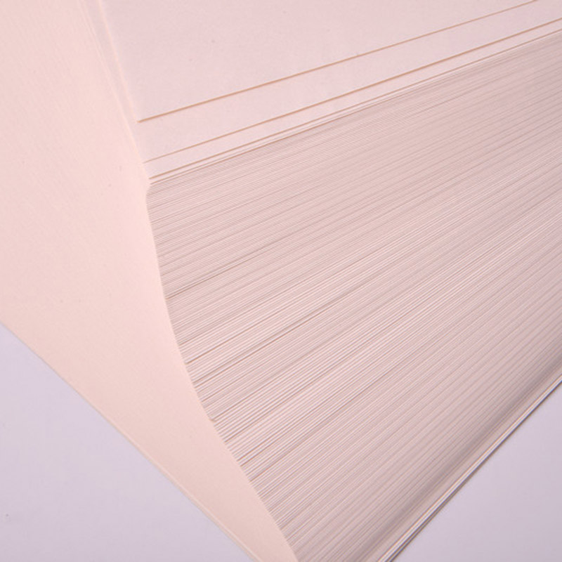 Carta da stampa per camere bianche senza pelucchi colorata in formato A4 di fabbrica

