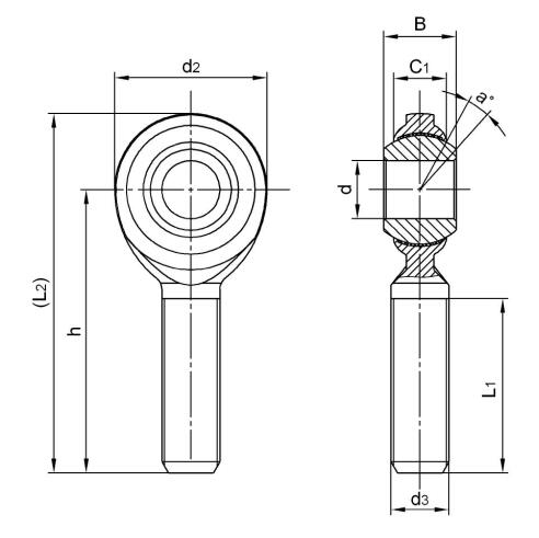 CM10T Inch FISH EYE BEARING MISURA AMERICANA