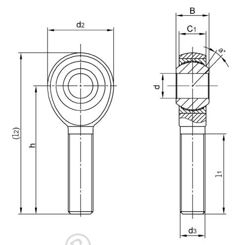 Teste a snodo in acciaio inossidabile di dimensioni americane SJM4T