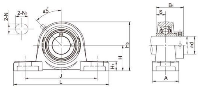 Cuscinetti montati NAP206