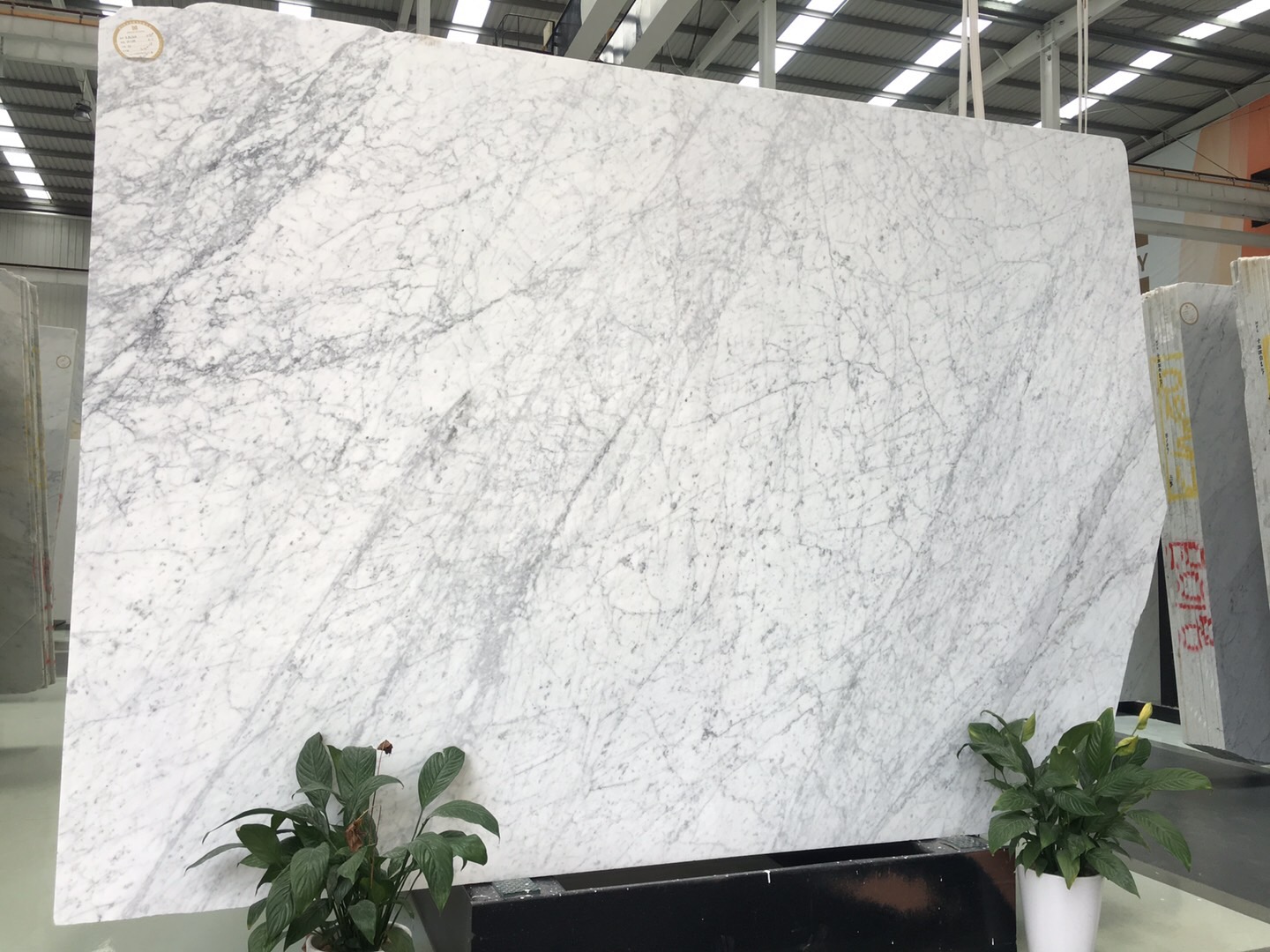 Lastre di marmo bianco di Carrara in pietra naturale
