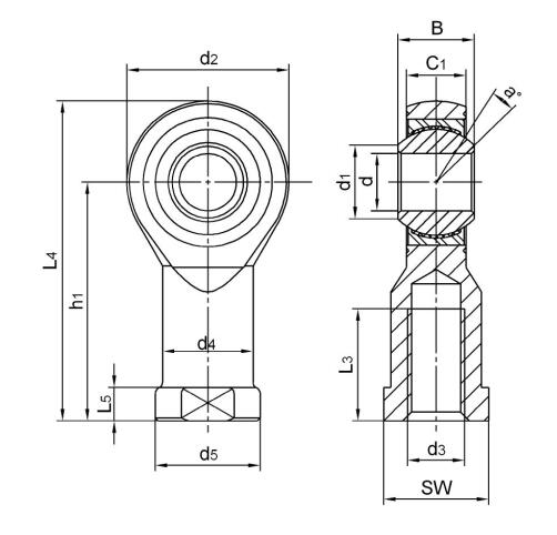 Rod Eye CHS30