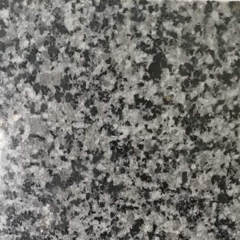 Nuove piastrelle in pietra di granito grigio G654
