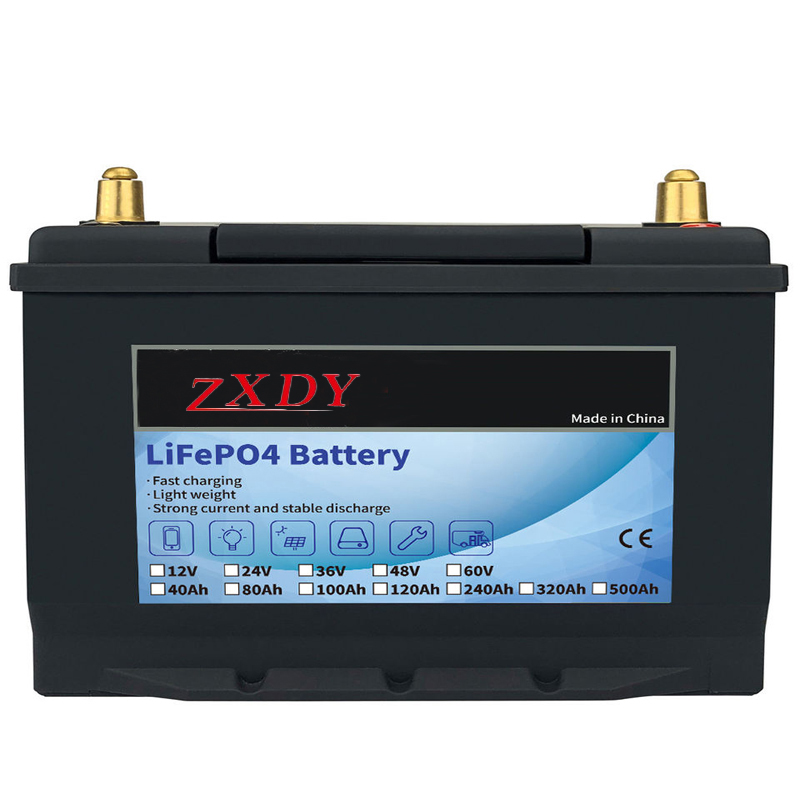 Batteria Lifepo4 24v 40ah 60ah 80ah 100ah batteria agli ioni di litio per ev ups agv
